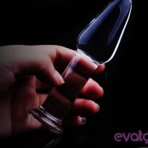 Evatoy SM Rita Glass Romance Cam Anal Plug