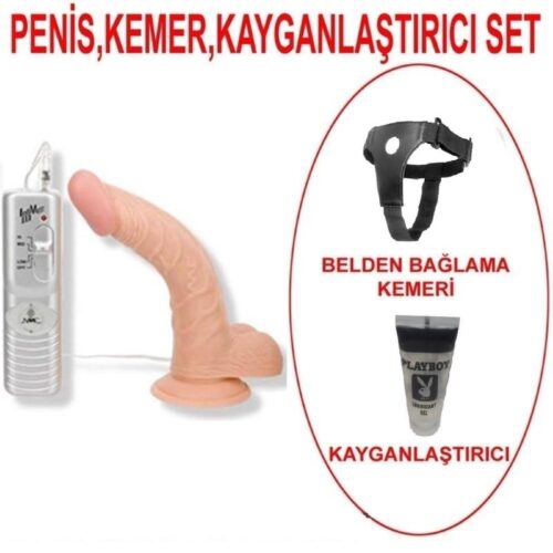 19 cm Curved Ecstasy Titreşimli Belden Bağlamalı Realistik Penis – SM178VSET